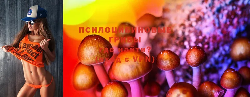 даркнет формула  omg сайт  Галлюциногенные грибы MAGIC MUSHROOMS  Окуловка  где продают наркотики 